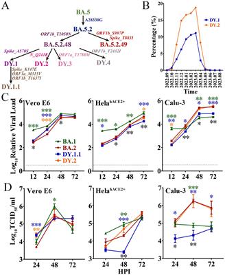 Virological characteristics of SARS-CoV-2 Omicron BA.5.2.48